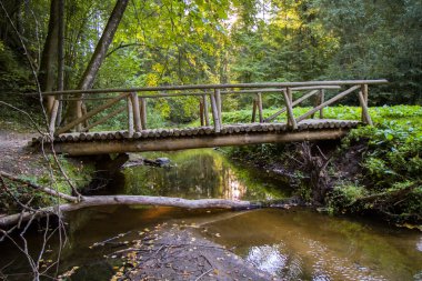 Köprü günlükleri
