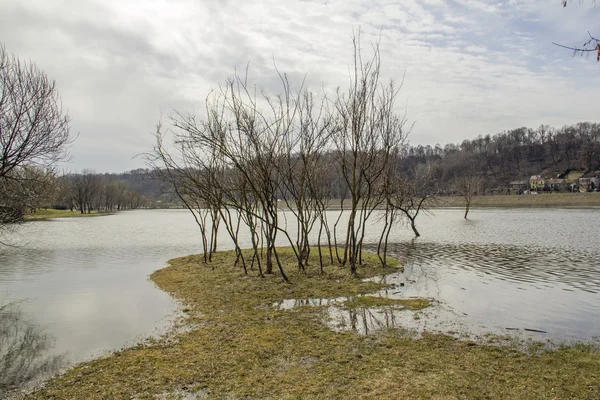 Flooding at the confluence of the Nemunas and Neris — Stock Photo, Image