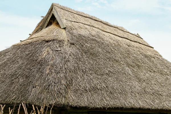 Lituano rurale vecchio tetto edificio — Foto Stock