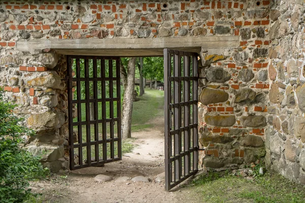 Ворота из античного металла — стоковое фото