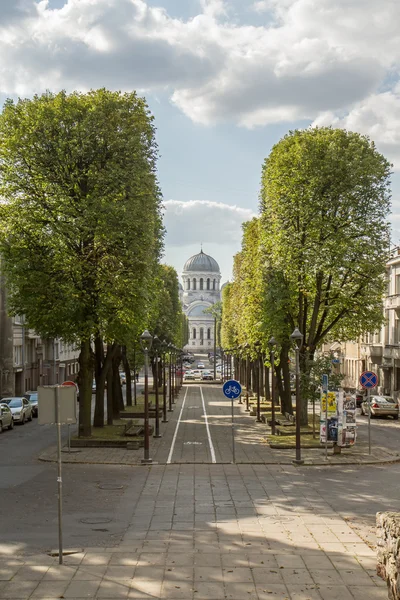 Aleja miasta Kaunas — Zdjęcie stockowe