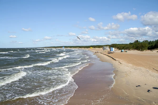 Baltic sea coast — Stock Photo, Image