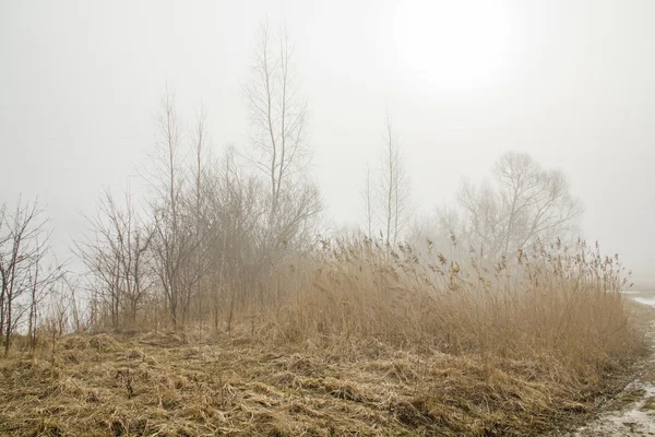 Niebla en los campos en otoño —  Fotos de Stock