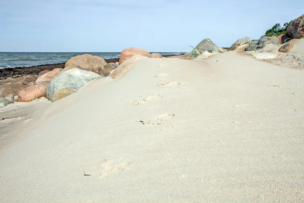 Stenen op zand — Stockfoto