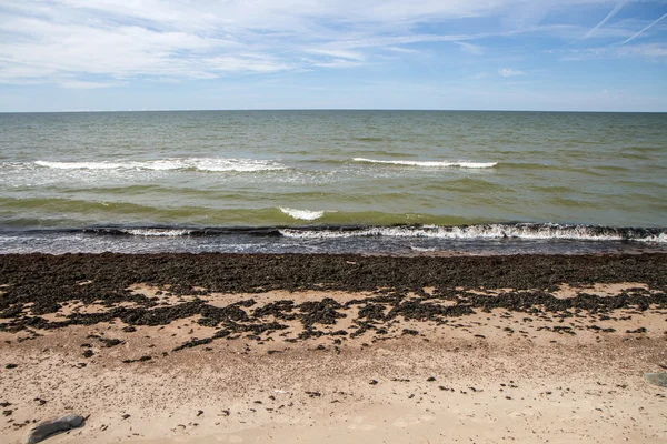 ビーチに海の汚れ — ストック写真