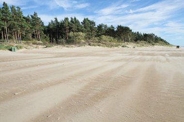 Kum rüzgar üflenir