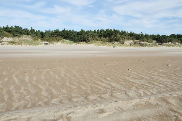 Mooie zand ornamenten — Stockfoto