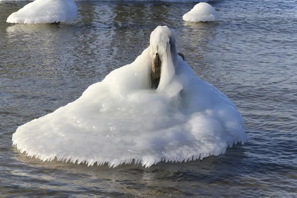 Eisschwan im Meer — Stockfoto