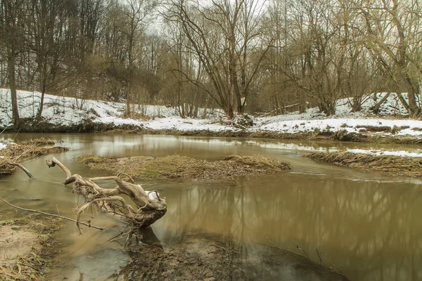 Ein kleiner Fluss im Winter Foto — Stockfoto