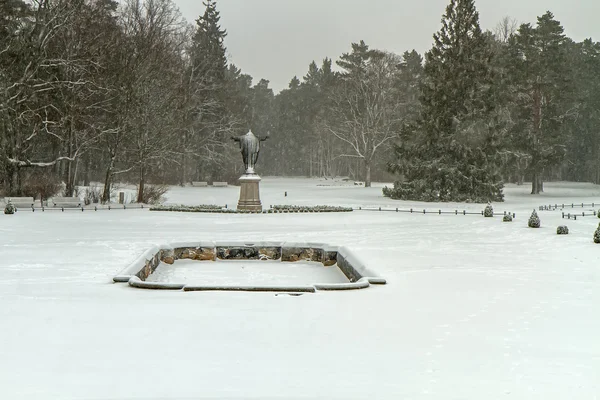 Park in winter — Stock Photo, Image