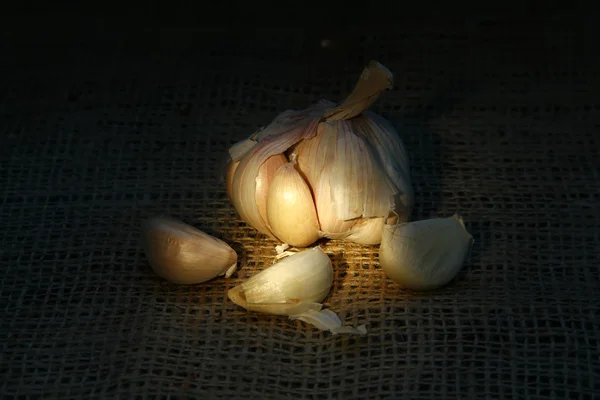 Knoflook in het donker — Stockfoto