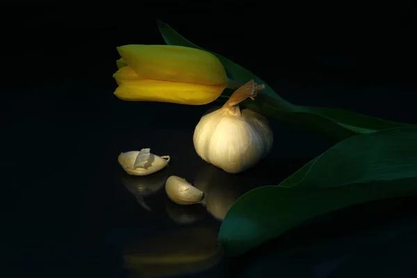 Ajo y tulipán — Foto de Stock