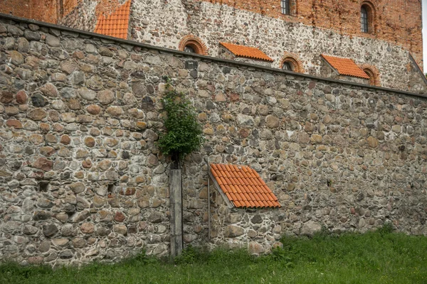 Ochronne Zamkowa ściana — Zdjęcie stockowe
