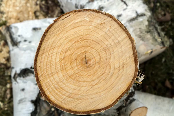 Vecchio taglio di legno — Foto Stock