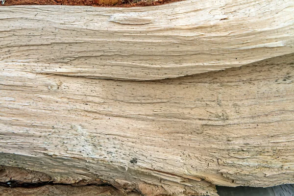 Tekstury fragmentu drewna — Zdjęcie stockowe