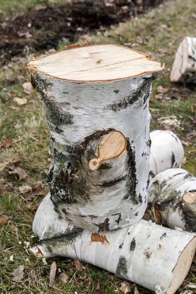 Legna da ardere di betulla — Foto Stock