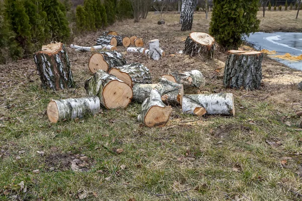 Legno segato — Foto Stock