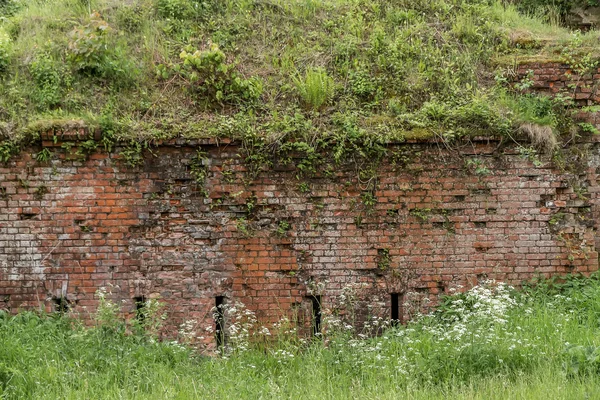 砦の壁 — ストック写真