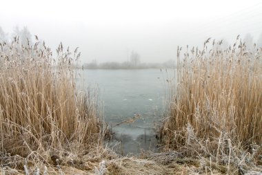 Erken kış sabahı göle