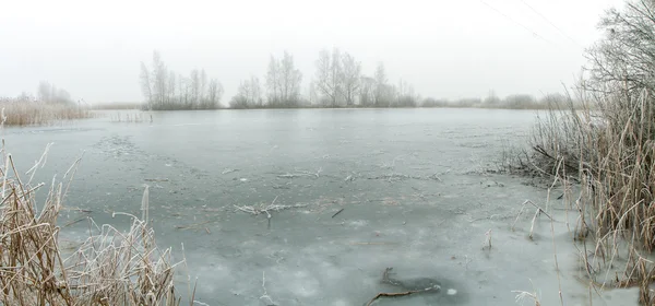 Lago — Foto de Stock