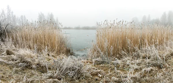 Temprano en la mañana de invierno en el lago panorama — Foto de Stock