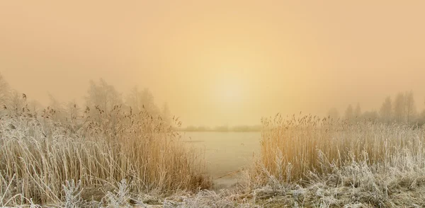 Mañana de invierno en el lago — Foto de Stock