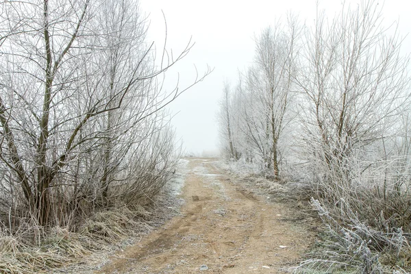 白い冬への道 — ストック写真