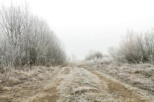 Road to winter — Stock Photo, Image