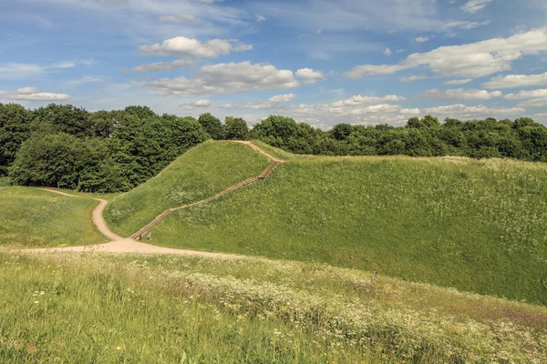 Mounds near the forest — Stock Photo, Image