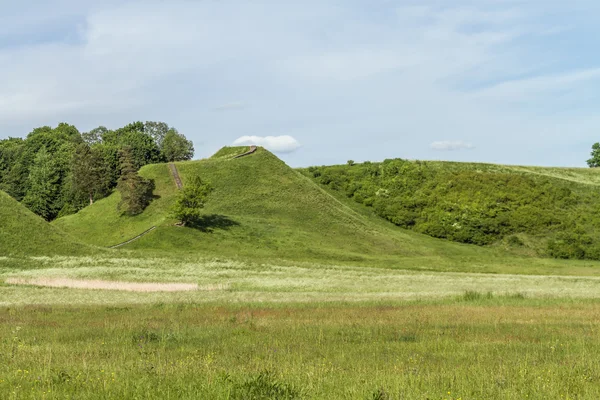 Grassland to the mound — Stock Photo, Image