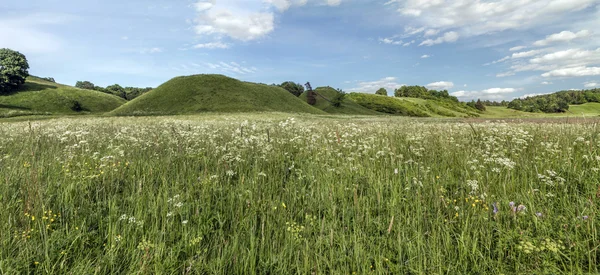 Кургани з квітів поля — стокове фото