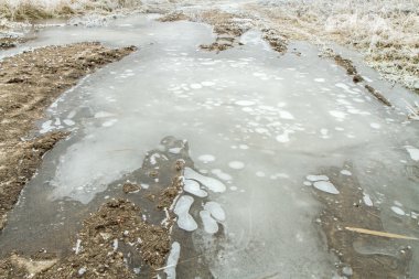 Kışın bataklıkları