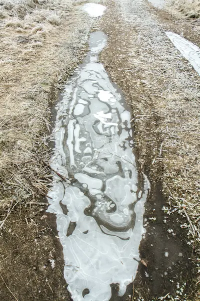 Frozen bogs — Stock Photo, Image