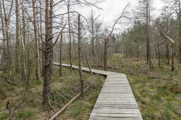 Houten brug — Stockfoto