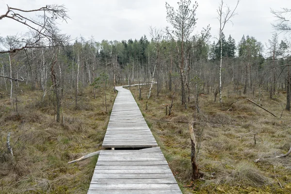 A fából készült trail — Stock Fotó