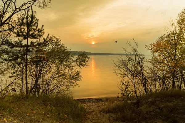 Közel a Kaunasi fák — Stock Fotó