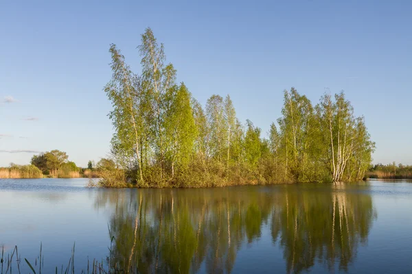 Árvores ilha lago — Fotografia de Stock