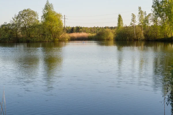 Meertje in een mooie zomerdag — Stockfoto