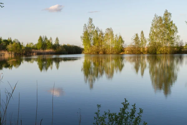 Tree reflection in lake — Stock Photo, Image