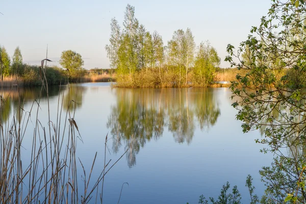 A view of the lake — Stock Photo, Image