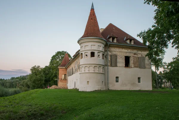 Casa padronale con torre — Foto Stock