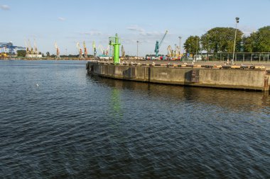 Damarları yatak için yatak