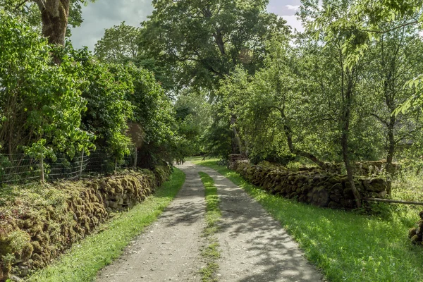 Yol — Stok fotoğraf