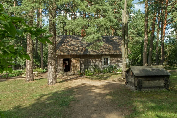 Altes Haus im Wald — Stockfoto