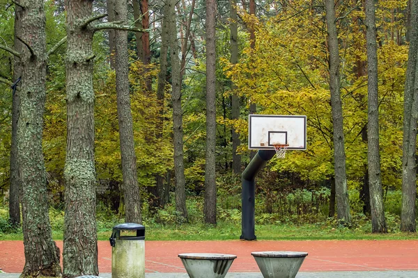 公園近くのスポーツ地面 — ストック写真