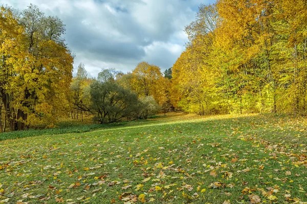 Bosque en otoño —  Fotos de Stock