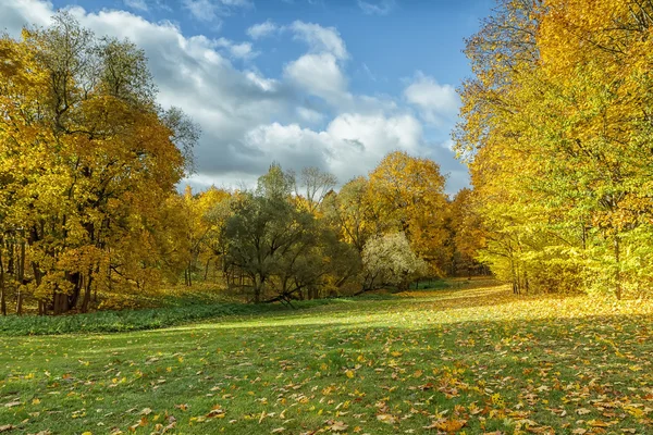 En el bosque de otoño —  Fotos de Stock