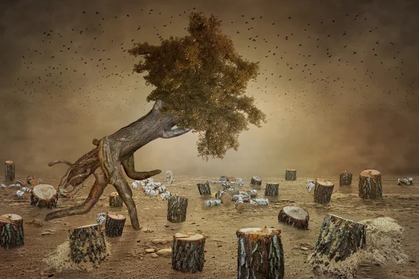 Dün ormanın kaçış