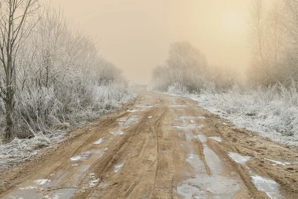 The first frost — Stock Photo, Image