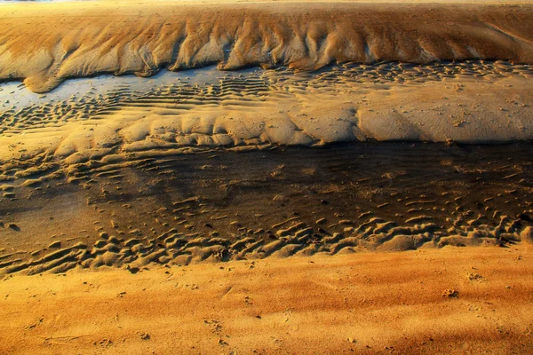 Costa ghiacciata — Foto Stock